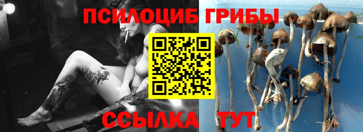 Мыски  Галлюциногенные грибы прущие грибы  Псилоцибиновые грибы GOLDEN TEACHER  Вход с VPN 