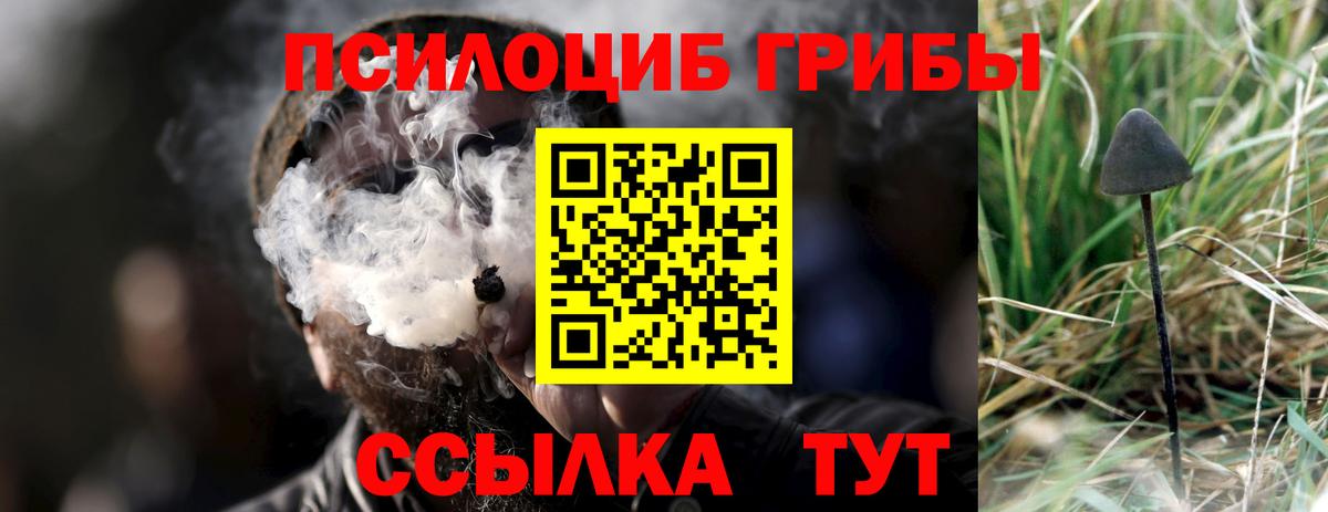 Галлюциногенные грибы GOLDEN TEACHER Мыски